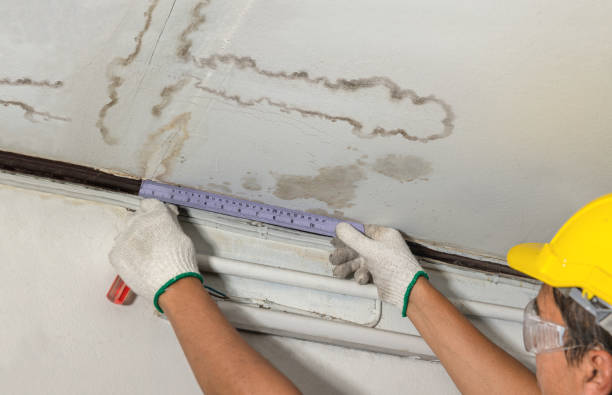 Affordable Water Damage Repair solutions in Evansville, IN